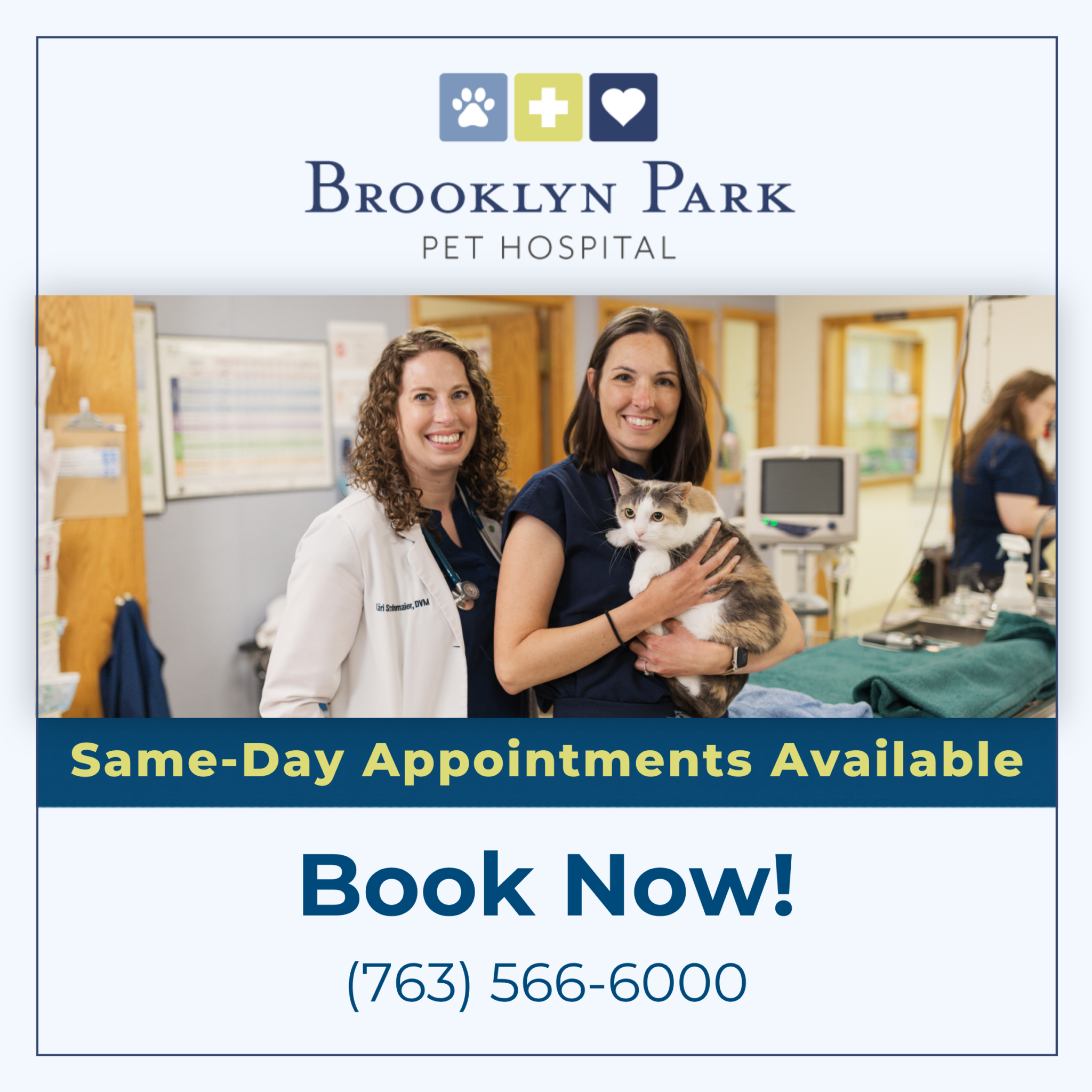 Same Day Appointments Available (1)