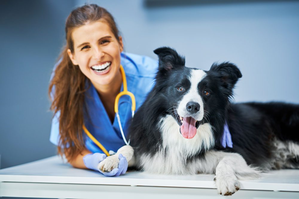 Vet Smiling With Dog