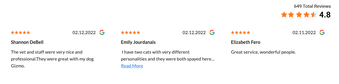 Bright Local Placeholder