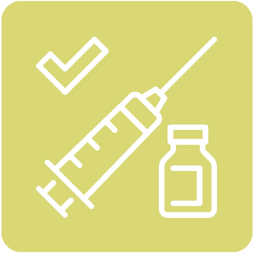 Vaccinations Syringe Icon