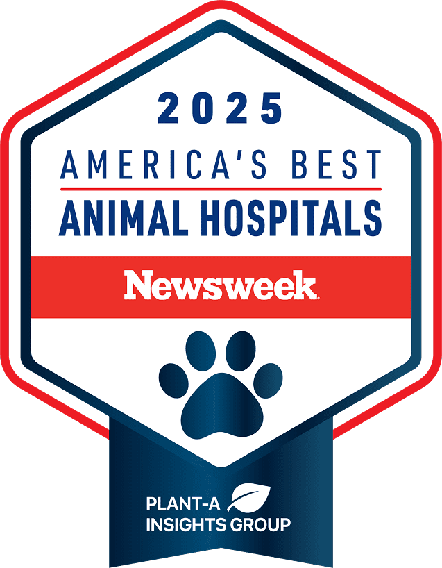 Animal Hospitals