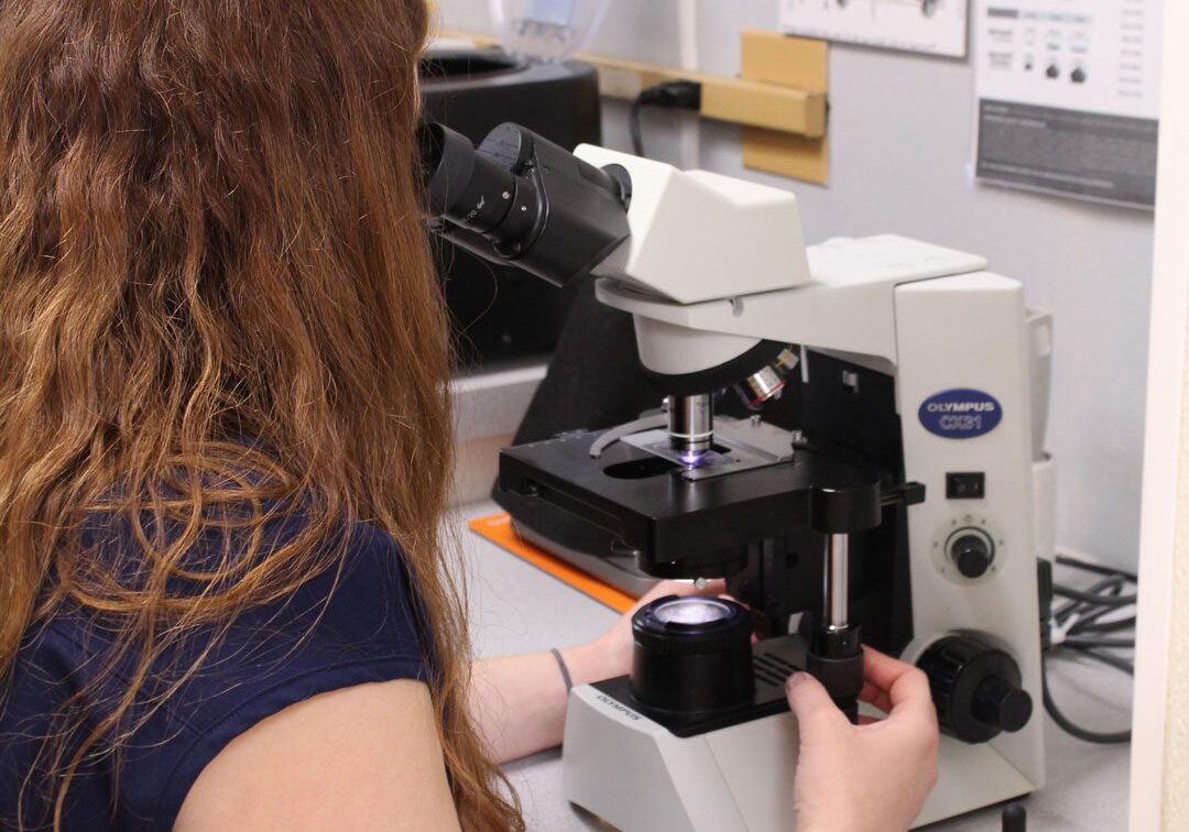 Looking Through Microscope